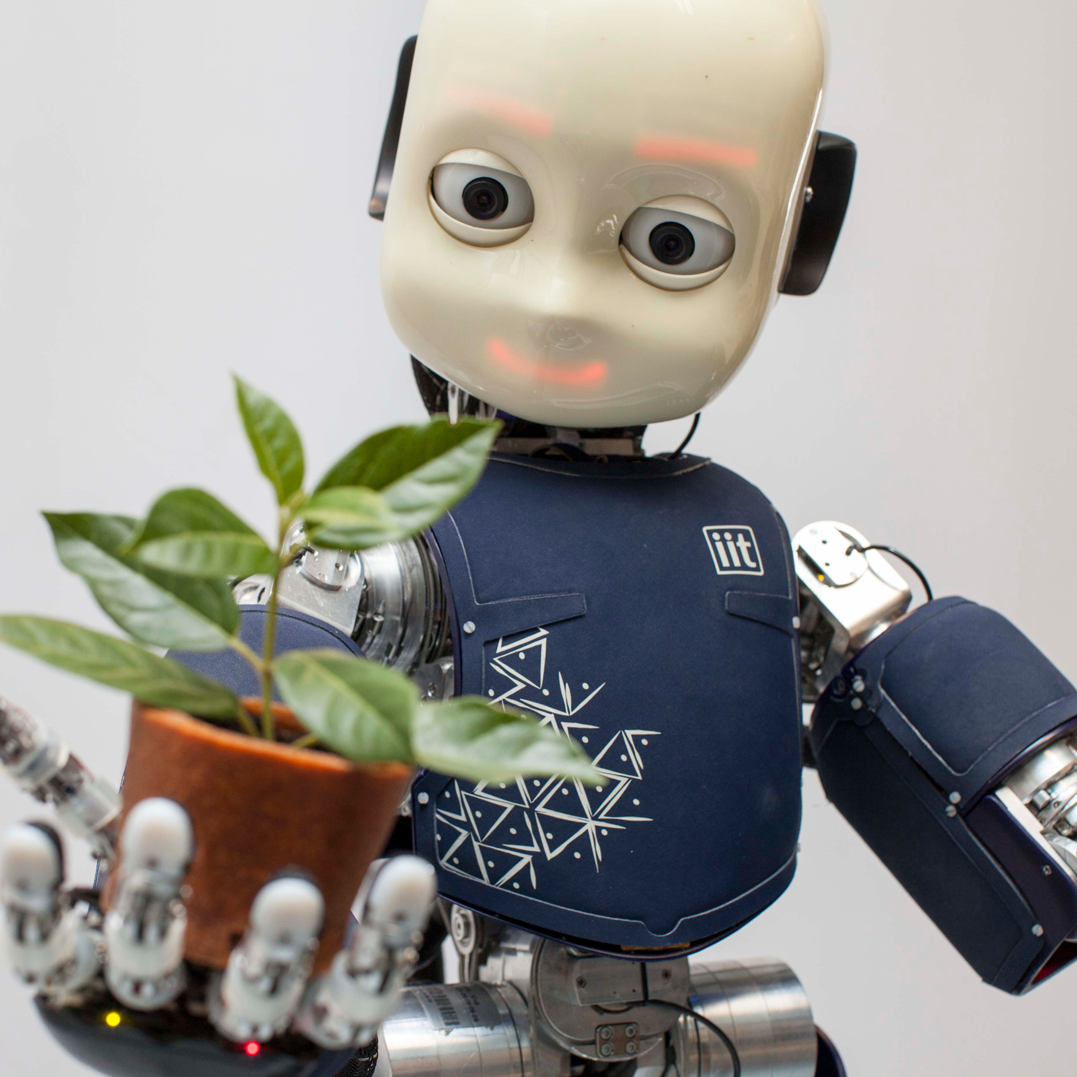 The iCub humanoid robot