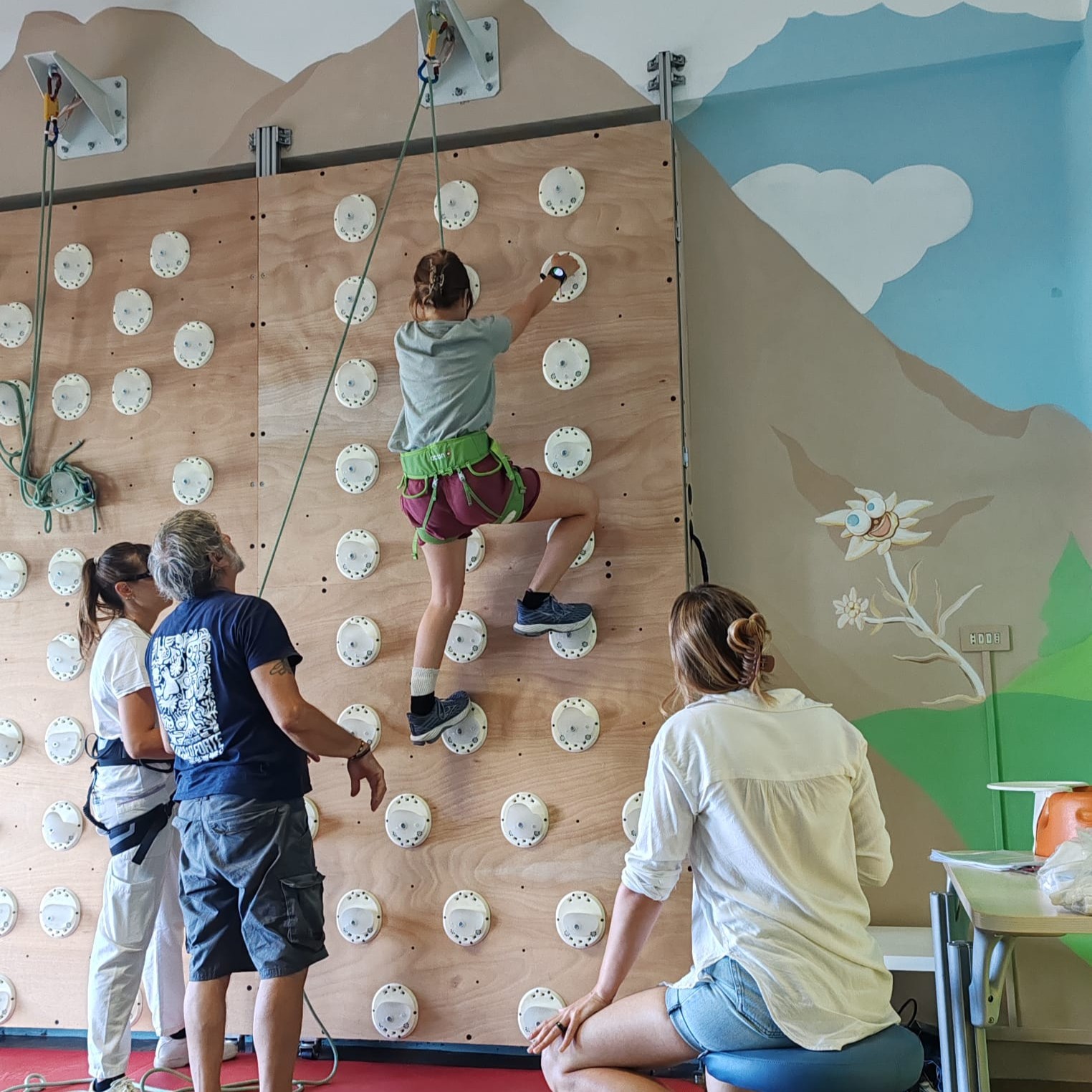 MSIclimb