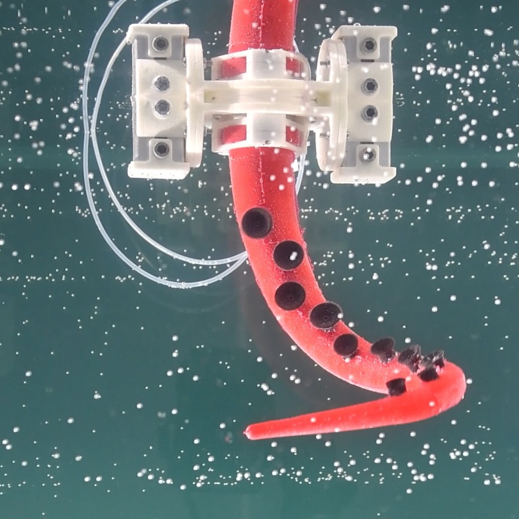 Octopus Arm Robot