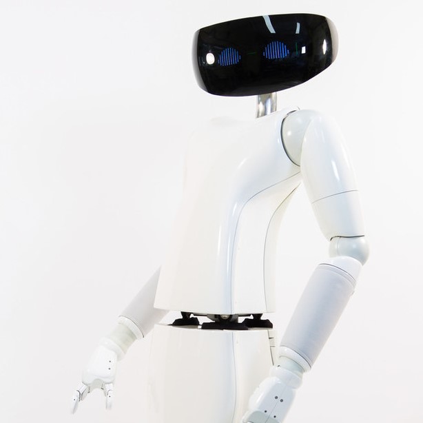 The R1 humanoid robot